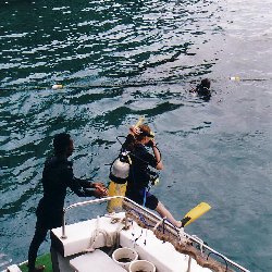 scuba diving 2